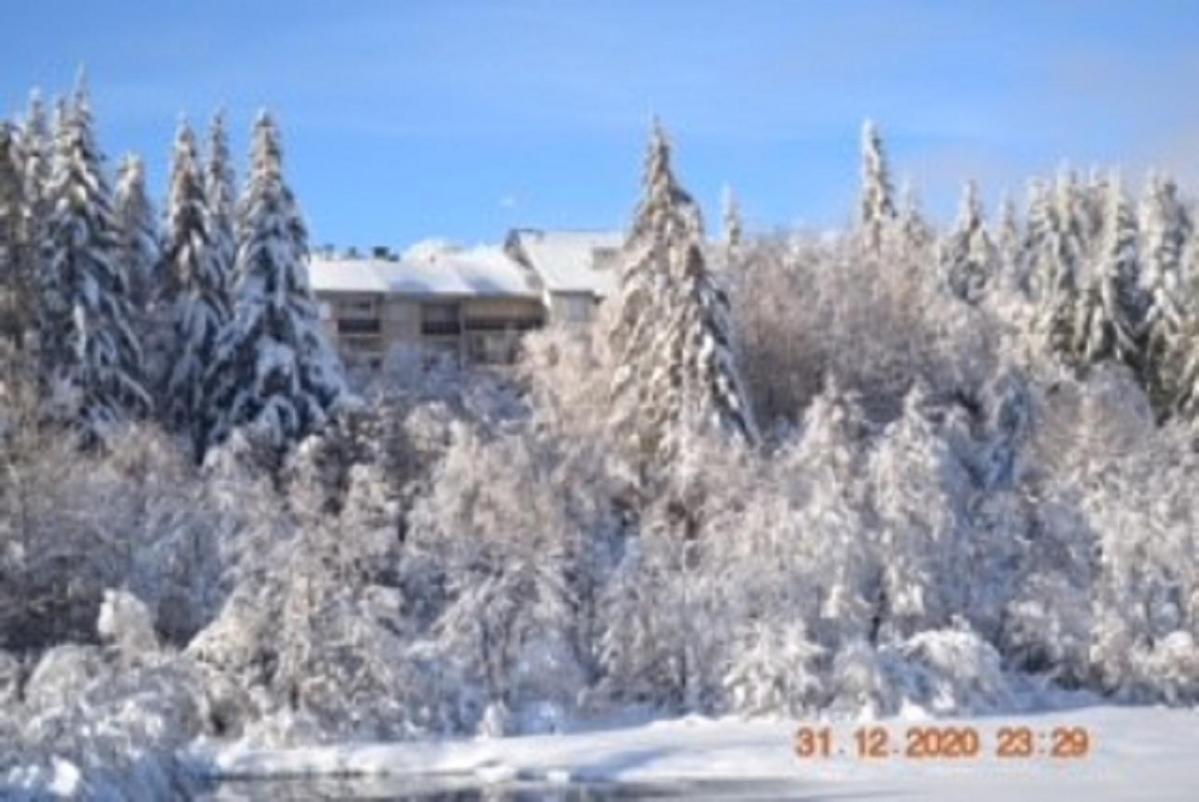 Lo Vedelier D'Aubrac Apartamento Laguiole Exterior foto