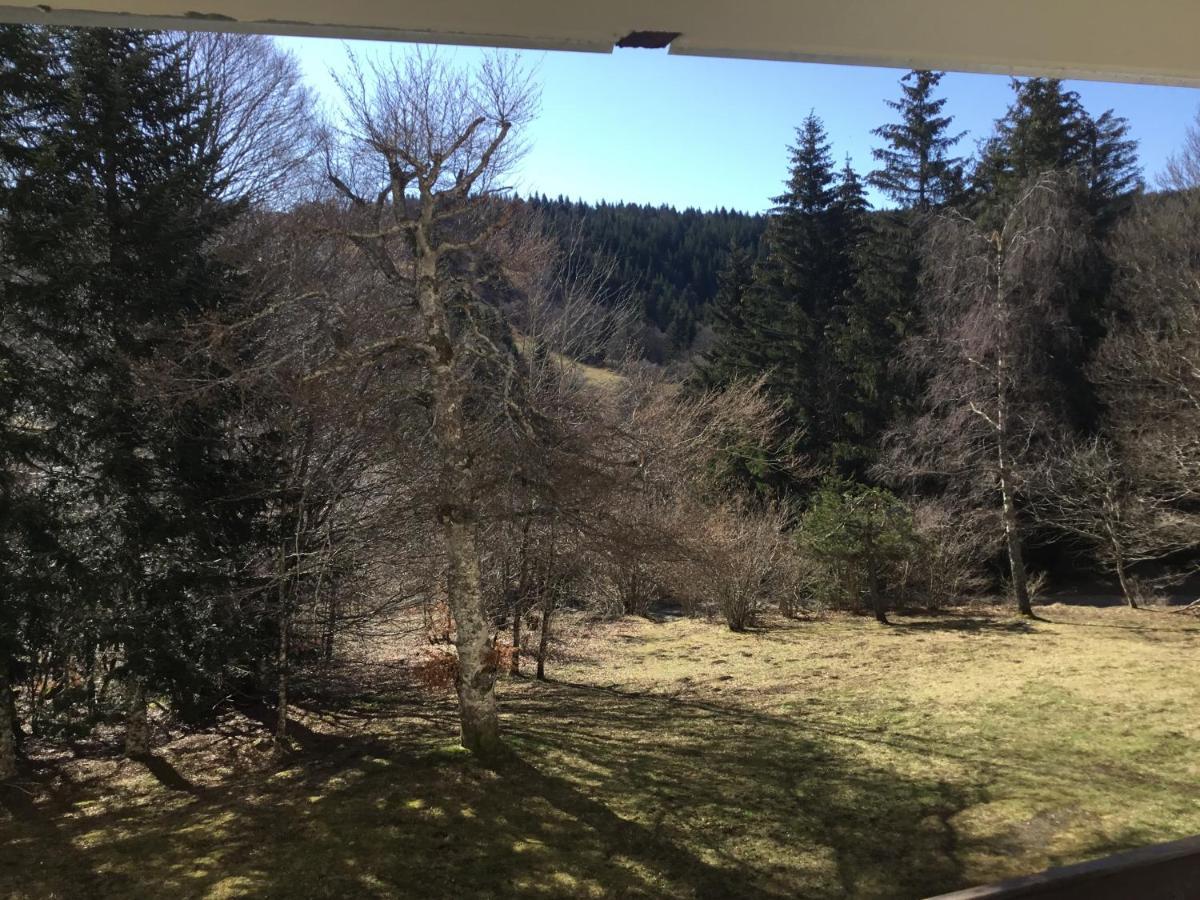 Lo Vedelier D'Aubrac Apartamento Laguiole Exterior foto